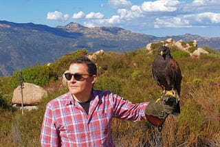 A Walk With A Hawk