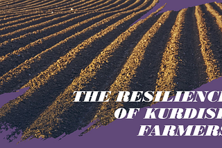 The Silent Struggle: Kurdish Farmers Under Siege