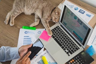 Juggling Hyperactive Cats: A Solo Recruiter’s Survival Kit for Startups