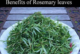 Rosemary leaves : రోజ్మెరీ ఆకులతో ఆరోగ్య ప్రయోజనాలు
#rosemerry #rosemaryoil #rosemary…