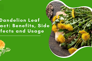 Dandelion Leaf Extract: Benefits, Side Effects and Usage
