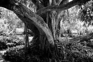 A greyscale photo of a large, durable tree growing out of the ground surrounded by plants and fauna.