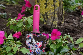 Importance of Using the Right Gardening Tools