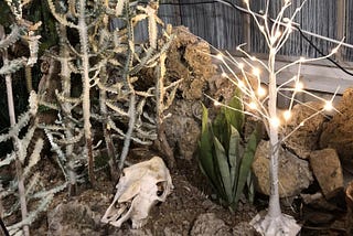 An animal skull nestled under some dry cactus, beside a lighted tree