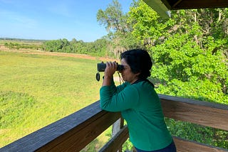 In 2020, Gainesville’s Birders Counted On The Unusual