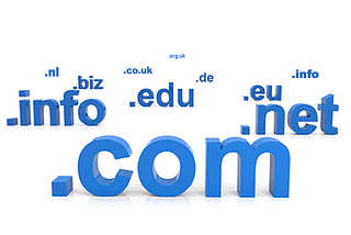 Setup a domain name for a new website or server.