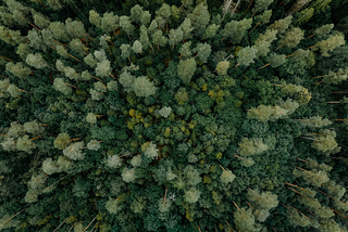 Bagging vs Boosting: The Complete Beginner’s Guide to Ensemble Learning in Machine Learning