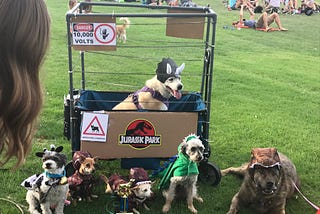 Howl-O-Ween in Downtown Phoenix