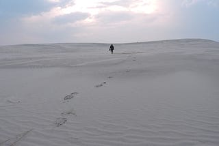 Råbjerg Mile. In Danimarca c’è il deserto