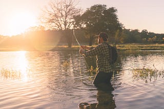 Best carp fishing cool bags