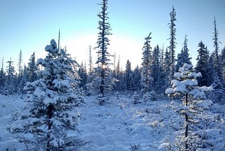 First Snow | Prometheus Dreaming