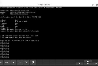 A terminal screenshot showing an Ubuntu 24.04.2 LTS server login screen. It displays system information such as CPU load, memory usage, IP addresses, and update status. The prompt shows repeated empty root command lines, ready for input.