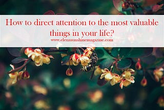 How to direct attention to the most valuable things in your life?
