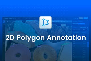 2D Polygon Annotation for Computer Vision Model Training