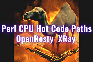 Pinpointing the hottest Perl code paths in OpenResty/Nginx servers (using OpenResty XRay)