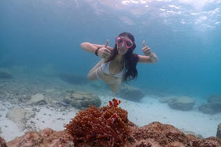 Finding Nemo in Thailand
