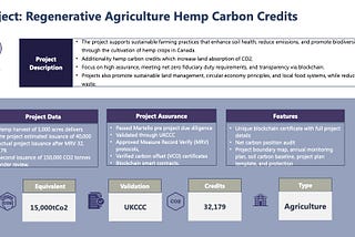 Carbon Credits: Can these Markets be fixed?