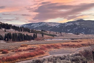 A late afternoon landscape of orange brush in the foreground, mountains in the background, and an orange, cloudy sky.