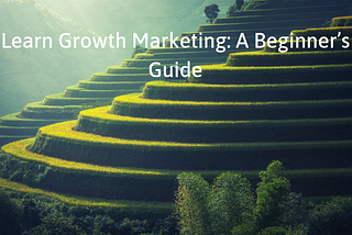 Learn Growth Marketing: A Beginner’s Guide