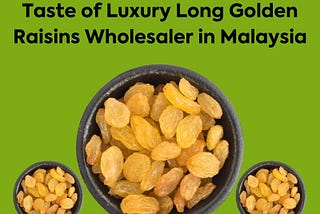 Taste of Luxury Long Golden Raisins Wholesaler in Malaysia