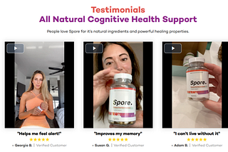 5 Reason Why Everyone Love Spore Focus Performance.
