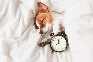 Sick of Sleeping at 3 am? Here’s How to Get To Bed on Time