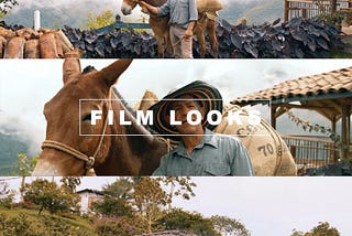 LUTs for BMPCC 4K/6K | BRAW & ProRes