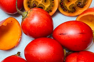 How to Plant and Grow a Tree Tomato (Tamarillo) in California — Marzi’s Garden