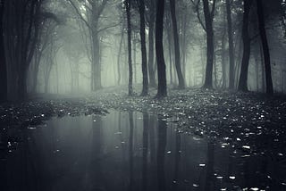 a black and white creepy gloomy forest. the type of a forest that you can’t go alone. always you feel someone is watching you in there. hundreds of people could be died there with fear, rage and every awful feel you ever knew.