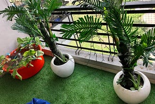 Interior Landscaping Redefined With Artificial Plants