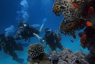 Safety in Scuba Diving