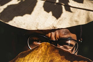 The Case Of The Missing Meta Writer