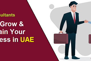 How VAT Consultants help Start, Grow, and Maintain Your Business in UAE