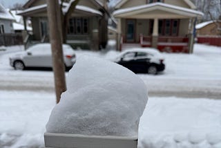 For the Love of Snow, and Dogs