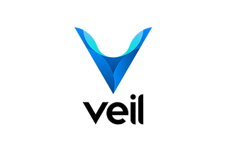 VEIL : Privacy in It’s core