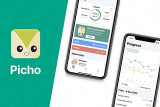 Case Study 1: Picho