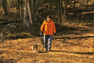How to Walk  100,000 Steps in One Day