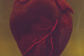 A human heart