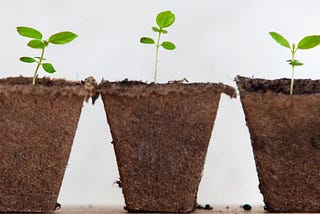 3 Steps to Grow Your Business in 2019