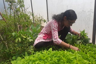 Away from the Hassle: Sunita’s Story