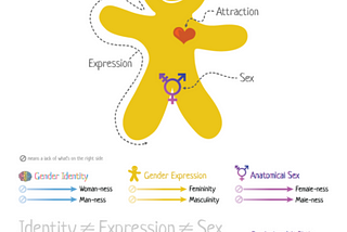 A gingerbread man with information coming out of him, explaining how gender and sex both work.