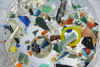 Biodegradable Plastics May Not Live Up to Their Name