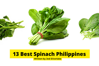 13 Best Spinach Philippines 2022 (w/ Free Discount)