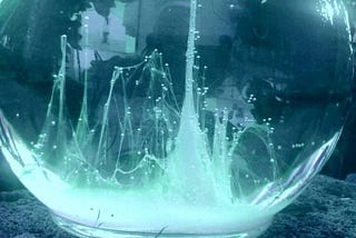 La notte della Barca di San Pietro: il rito che unisce natura, fede e tradizione
