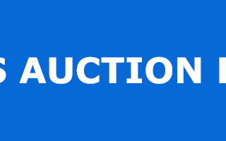 Auction Schedule Delay