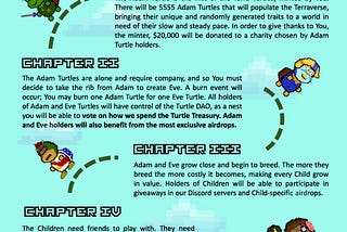 Terra Turtles Roadmap 24/10/2021