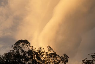 As Summer Fades
