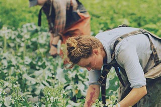 Young Farmers Are Inspiring, But Are They Making a Living?