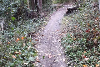 Image of a hiking/bike trail path in the fall