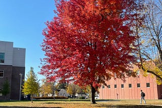 Fall is Here and What A Season to Be Glad